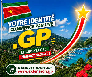 Services pour l'extension de domaine .gp
